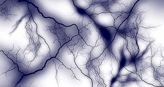 写真：脳機能の神経細胞