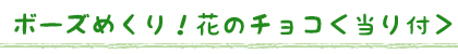 ボーズめくり！花のチョコ＜当り付＞