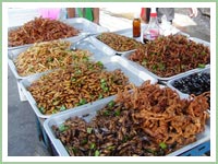 市場で売られる昆虫食