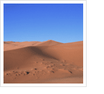 砂漠化の対策