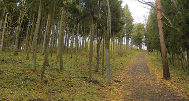 無量光院跡