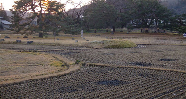 無量光院跡