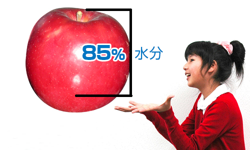 リンゴの水分85％