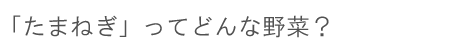 「たまねぎ」ってどんな野菜？