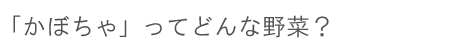 「かぼちゃ」ってどんな野菜？