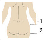 ベルトをつける位置を説明したイラスト図
